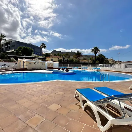 Agave 8 (adults Only) *