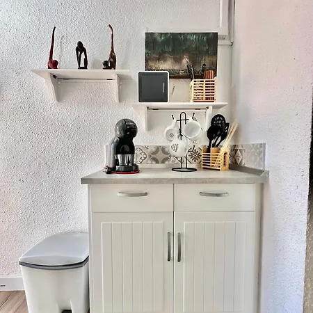 Agave 8 (adults Only) *